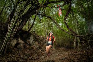 BIB: 
                            <button type="button" onclick="openModal(22178623)" class="btn btn-primary btn-sm float-right btn-popup" data-toggle="modal" data-target=".modal-high-quality">
                        <i class="fas fa-shopping-cart"></i> Add to Cart
                    </button>
                                            <button type="button" onclick="isThisMe(22178623, true)" class="btn btn-success btn-sm float-right btn-popup btn-isme hidden" data-toggle="tooltip" data-placement="bottom" title="นี่คือรูปของคุณใช่ไหม คลิกที่นี่เพื่อเอาเข้าอัลบั้ม">
                        <i class="fas fa-plus"></i> Add to album
                    </button>
                    <button type="button" onclick="isThisMe(22178623, false)" class="btn btn-warning btn-sm float-right btn-popup btn-isnotme hidden">
                        <i class="fas fa-ban"></i> Remove from album
                    </button>